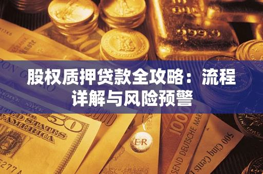 北京股权质押贷款全攻略：流程详解与风险预警