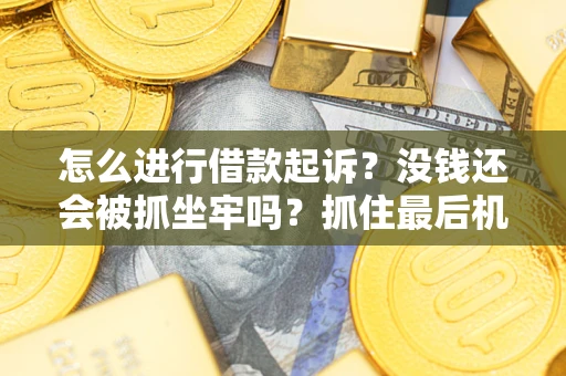 北京怎么进行借款起诉？没钱还会被抓坐牢吗？抓住最后机会！